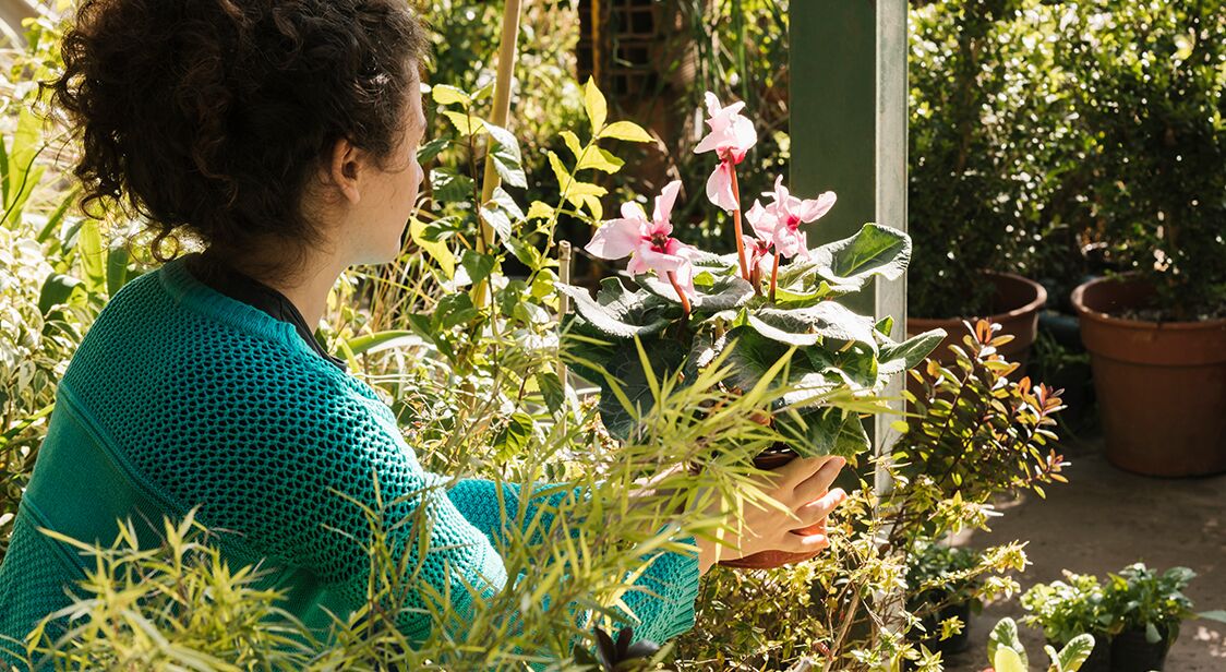Professional gardening and maintenance services